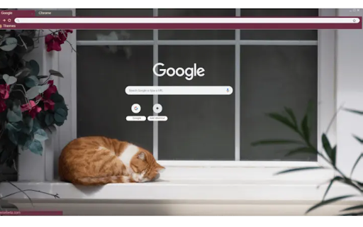 Cat Nap from Chrome web store to be run with OffiDocs Chromium online Cat Nap from Chrome web store to be run with OffiDocs Chromium online