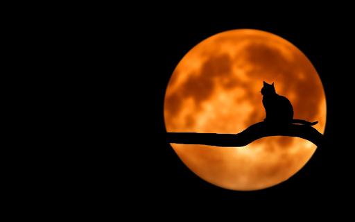 Cat on the moon from Chrome web store to be run with OffiDocs Chromium online Cat on the moon from Chrome web store to be run with OffiDocs Chromium online