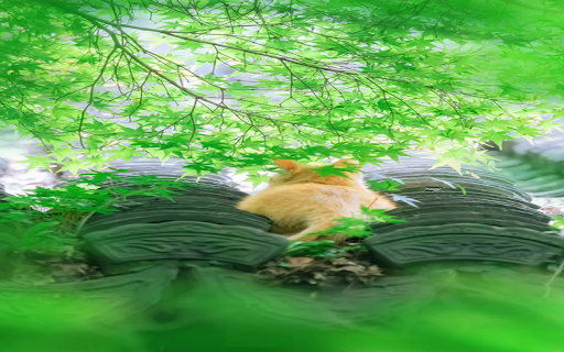 Cat under tree foliage wallpaper from Chrome web store to be run with OffiDocs Chromium online Cat under tree foliage wallpaper from Chrome web store to be run with OffiDocs Chromium online