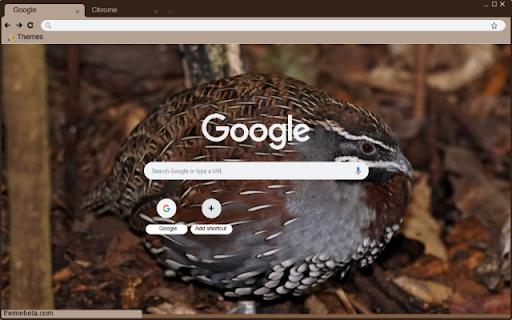 Chim Cut Hoang Da from Chrome web store to be run with OffiDocs Chromium online Chim Cut Hoang Da from Chrome web store to be run with OffiDocs Chromium online