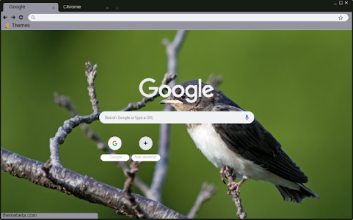 Chim En from Chrome web store to be run with OffiDocs Chromium online Chim En from Chrome web store to be run with OffiDocs Chromium online