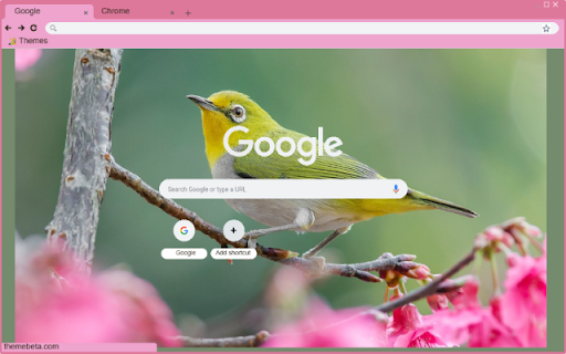 Chim hot from Chrome web store to be run with OffiDocs Chromium online Chim hot from Chrome web store to be run with OffiDocs Chromium online