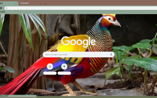 Chim Tri from Chrome web store to be run with OffiDocs Chromium online Chim Tri from Chrome web store to be run with OffiDocs Chromium online