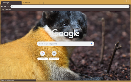 Chon rac from Chrome web store to be run with OffiDocs Chromium online Chon rac from Chrome web store to be run with OffiDocs Chromium online