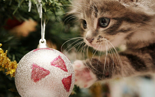 Christmas cute cat theme from Chrome web store to be run with OffiDocs Chromium online Christmas cute cat theme from Chrome web store to be run with OffiDocs Chromium online