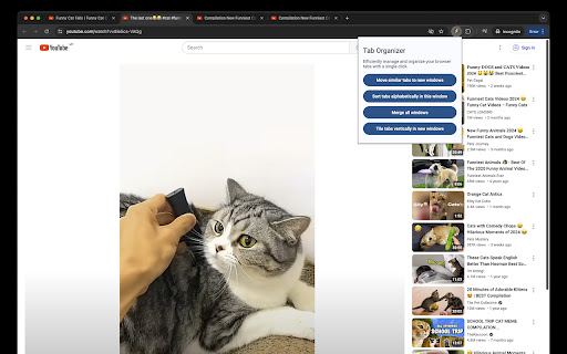 Chrome Tab Organizer from Chrome web store to be run with OffiDocs Chromium online Chrome Tab Organizer from Chrome web store to be run with OffiDocs Chromium online