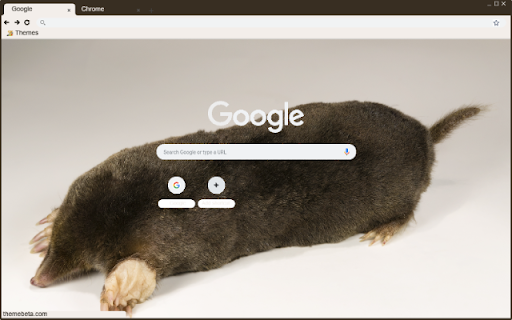 Chuot chui from Chrome web store to be run with OffiDocs Chromium online Chuot chui from Chrome web store to be run with OffiDocs Chromium online