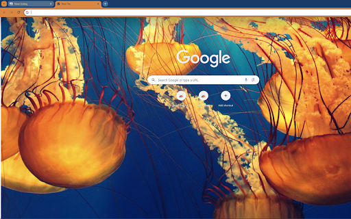 close up of a beautiful group of jellyfish from Chrome web store to be run with OffiDocs Chromium online close up of a beautiful group of jellyfish from Chrome web store to be run with OffiDocs Chromium online