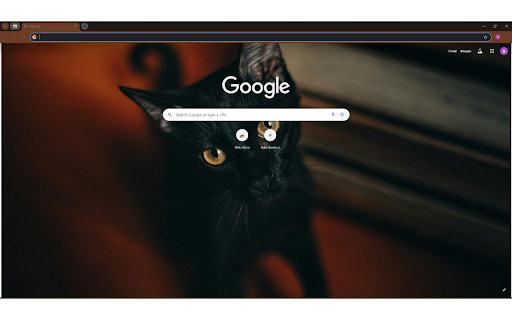 Close up Photography of Black Cat from Chrome web store to be run with OffiDocs Chromium online Close up Photography of Black Cat from Chrome web store to be run with OffiDocs Chromium online
