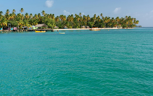 Coconut tree beach from Chrome web store to be run with OffiDocs Chromium online Coconut tree beach from Chrome web store to be run with OffiDocs Chromium online