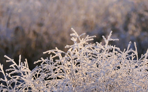 cold factory Theme from Chrome web store to be run with OffiDocs Chromium online cold factory Theme from Chrome web store to be run with OffiDocs Chromium online