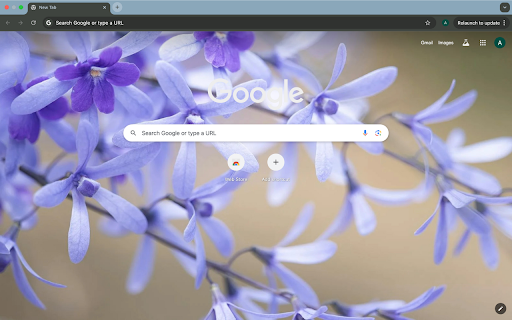 colorful cake from Chrome web store to be run with OffiDocs Chromium online colorful cake from Chrome web store to be run with OffiDocs Chromium online