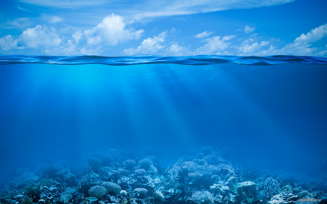 Conjugation from Chrome web store to be run with OffiDocs Chromium online Conjugation from Chrome web store to be run with OffiDocs Chromium online