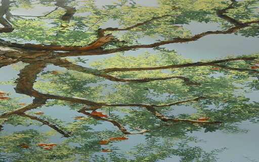 Cool tree wallpaper from Chrome web store to be run with OffiDocs Chromium online Cool tree wallpaper from Chrome web store to be run with OffiDocs Chromium online