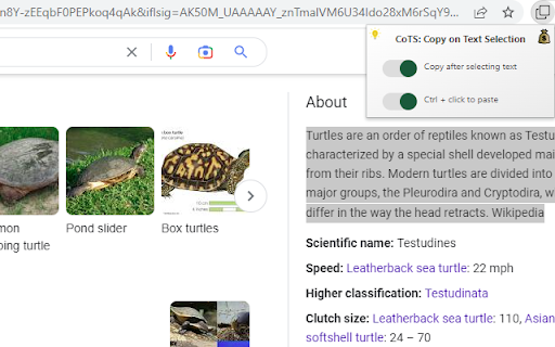 CoTS: Copy on Text Selection from Chrome web store to be run with OffiDocs Chromium online CoTS: Copy on Text Selection from Chrome web store to be run with OffiDocs Chromium online