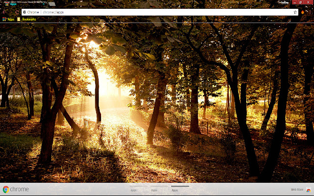Country Earth Forest Photography from Chrome web store to be run with OffiDocs Chromium online Country Earth Forest Photography from Chrome web store to be run with OffiDocs Chromium online