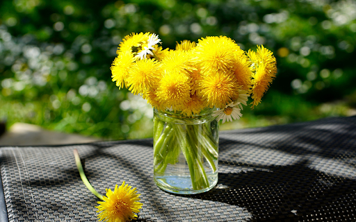 Country Flower Vase from Chrome web store to be run with OffiDocs Chromium online Country Flower Vase from Chrome web store to be run with OffiDocs Chromium online