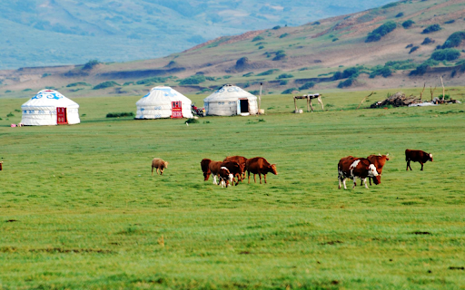 Cows on the Prairie from Chrome web store to be run with OffiDocs Chromium online Cows on the Prairie from Chrome web store to be run with OffiDocs Chromium online