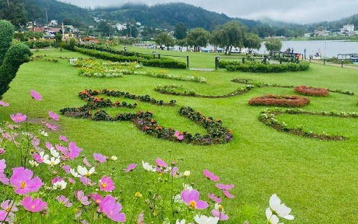 Cultivated Flora Along Gregory Lake from Chrome web store to be run with OffiDocs Chromium online Cultivated Flora Along Gregory Lake from Chrome web store to be run with OffiDocs Chromium online