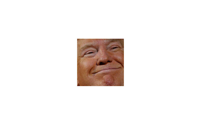 Dear Trump from Chrome web store to be run with OffiDocs Chromium online Dear Trump from Chrome web store to be run with OffiDocs Chromium online
