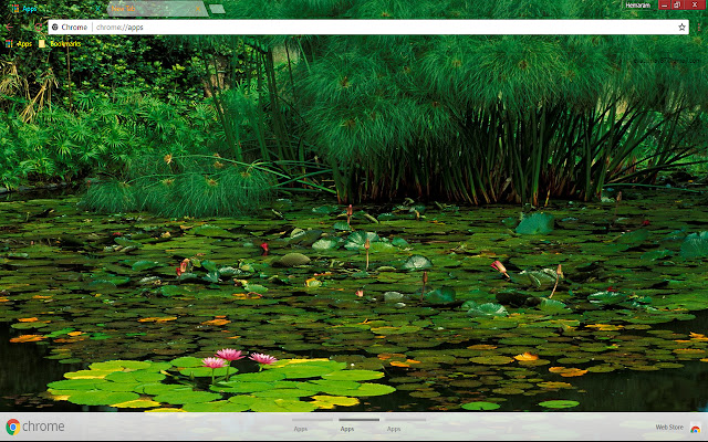 Delightful Nature from Chrome web store to be run with OffiDocs Chromium online Delightful Nature from Chrome web store to be run with OffiDocs Chromium online