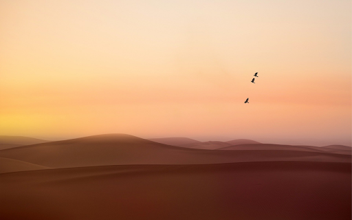 Desert bird from Chrome web store to be run with OffiDocs Chromium online Desert bird from Chrome web store to be run with OffiDocs Chromium online