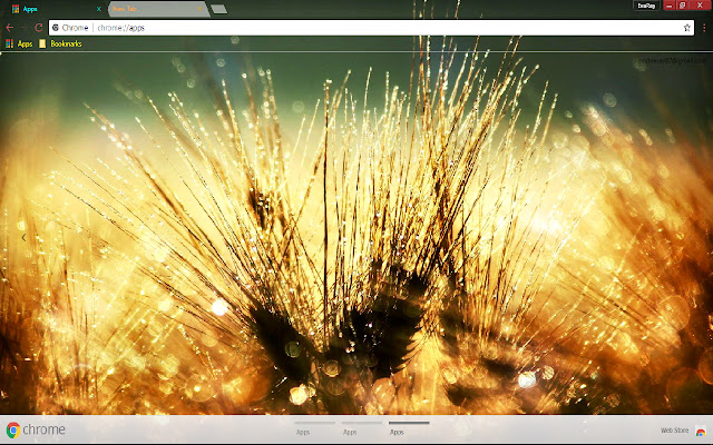 Dew Nature Water Drop Wheat from Chrome web store to be run with OffiDocs Chromium online Dew Nature Water Drop Wheat from Chrome web store to be run with OffiDocs Chromium online