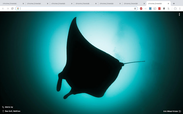 Diving photo tab from Chrome web store to be run with OffiDocs Chromium online Diving photo tab from Chrome web store to be run with OffiDocs Chromium online