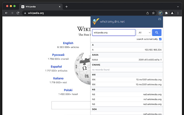 DNS Lookup from Chrome web store to be run with OffiDocs Chromium online DNS Lookup from Chrome web store to be run with OffiDocs Chromium online