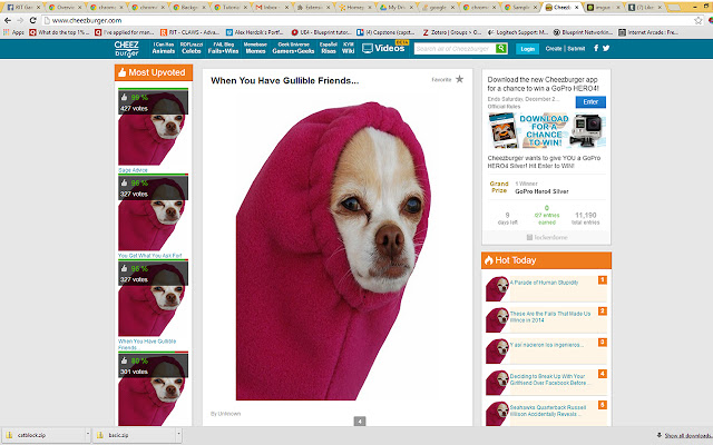 DogeGuard from Chrome web store to be run with OffiDocs Chromium online DogeGuard from Chrome web store to be run with OffiDocs Chromium online