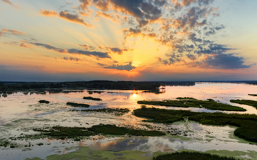 Drone Shot of a Wetland from Chrome web store to be run with OffiDocs Chromium online Drone Shot of a Wetland from Chrome web store to be run with OffiDocs Chromium online