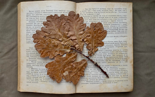 dry leaves in the book from Chrome web store to be run with OffiDocs Chromium online dry leaves in the book from Chrome web store to be run with OffiDocs Chromium online