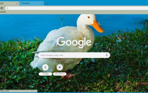 Duck from Chrome web store to be run with OffiDocs Chromium online Duck from Chrome web store to be run with OffiDocs Chromium online