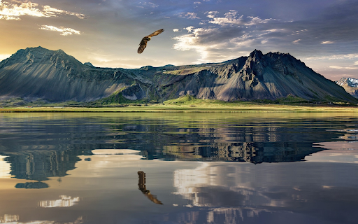 Eagle flying over the lake from Chrome web store to be run with OffiDocs Chromium online Eagle flying over the lake from Chrome web store to be run with OffiDocs Chromium online
