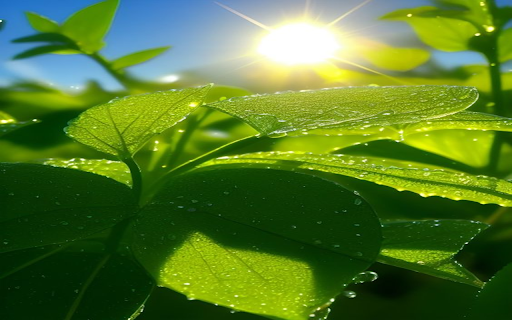 Early morning green tree wallpaper from Chrome web store to be run with OffiDocs Chromium online Early morning green tree wallpaper from Chrome web store to be run with OffiDocs Chromium online