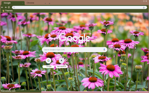 Echinacea Purpurea from Chrome web store to be run with OffiDocs Chromium online Echinacea Purpurea from Chrome web store to be run with OffiDocs Chromium online