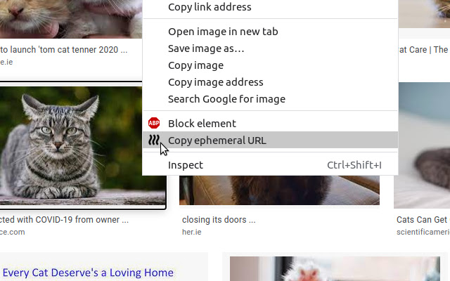 Ephemeral URLs from Chrome web store to be run with OffiDocs Chromium online Ephemeral URLs from Chrome web store to be run with OffiDocs Chromium online