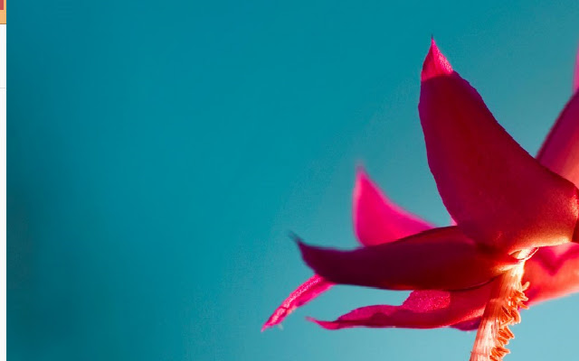 F3nix Screen Sharing from Chrome web store to be run with OffiDocs Chromium online F3nix Screen Sharing from Chrome web store to be run with OffiDocs Chromium online