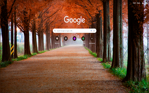 Fall (Autumn) Pathway, South Korea from Chrome web store to be run with OffiDocs Chromium online Fall (Autumn) Pathway, South Korea from Chrome web store to be run with OffiDocs Chromium online