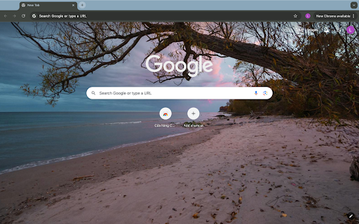 fallen trees and the sea from Chrome web store to be run with OffiDocs Chromium online fallen trees and the sea from Chrome web store to be run with OffiDocs Chromium online