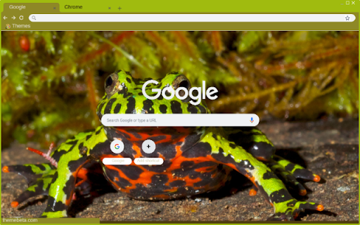 Fire Bellied Toad from Chrome web store to be run with OffiDocs Chromium online Fire Bellied Toad from Chrome web store to be run with OffiDocs Chromium online