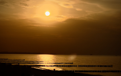 Fish cage on the river from Chrome web store to be run with OffiDocs Chromium online Fish cage on the river from Chrome web store to be run with OffiDocs Chromium online