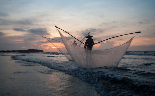 Fishermen scoop fish from Chrome web store to be run with OffiDocs Chromium online Fishermen scoop fish from Chrome web store to be run with OffiDocs Chromium online