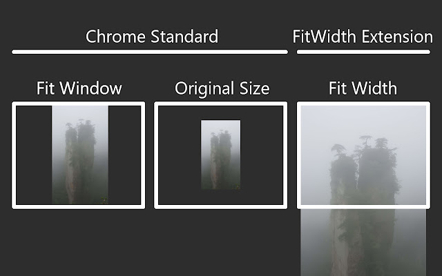 FitWidth from Chrome web store to be run with OffiDocs Chromium online FitWidth from Chrome web store to be run with OffiDocs Chromium online