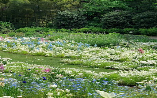 flower garden wallpaper from Chrome web store to be run with OffiDocs Chromium online flower garden wallpaper from Chrome web store to be run with OffiDocs Chromium online