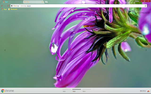 Flower Lilac Nature Pastel from Chrome web store to be run with OffiDocs Chromium online Flower Lilac Nature Pastel from Chrome web store to be run with OffiDocs Chromium online