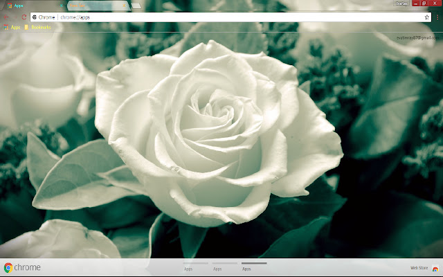Flower Rose White Flower from Chrome web store to be run with OffiDocs Chromium online Flower Rose White Flower from Chrome web store to be run with OffiDocs Chromium online