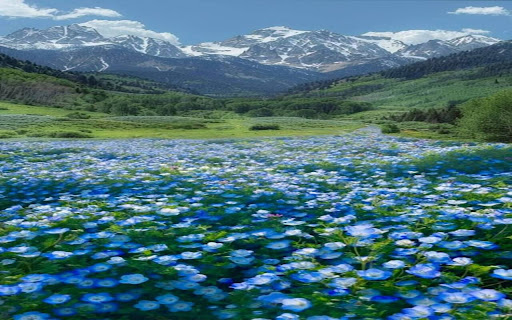 flowery prairie wallpaper from Chrome web store to be run with OffiDocs Chromium online flowery prairie wallpaper from Chrome web store to be run with OffiDocs Chromium online