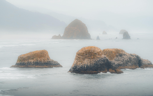 Foggy Coastline from Chrome web store to be run with OffiDocs Chromium online Foggy Coastline from Chrome web store to be run with OffiDocs Chromium online