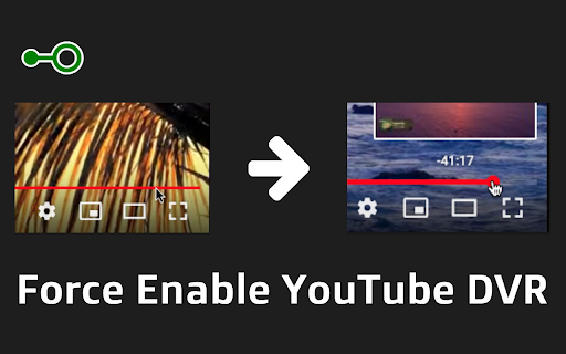 Force enable YouTube DVR from Chrome web store to be run with OffiDocs Chromium online Force enable YouTube DVR from Chrome web store to be run with OffiDocs Chromium online